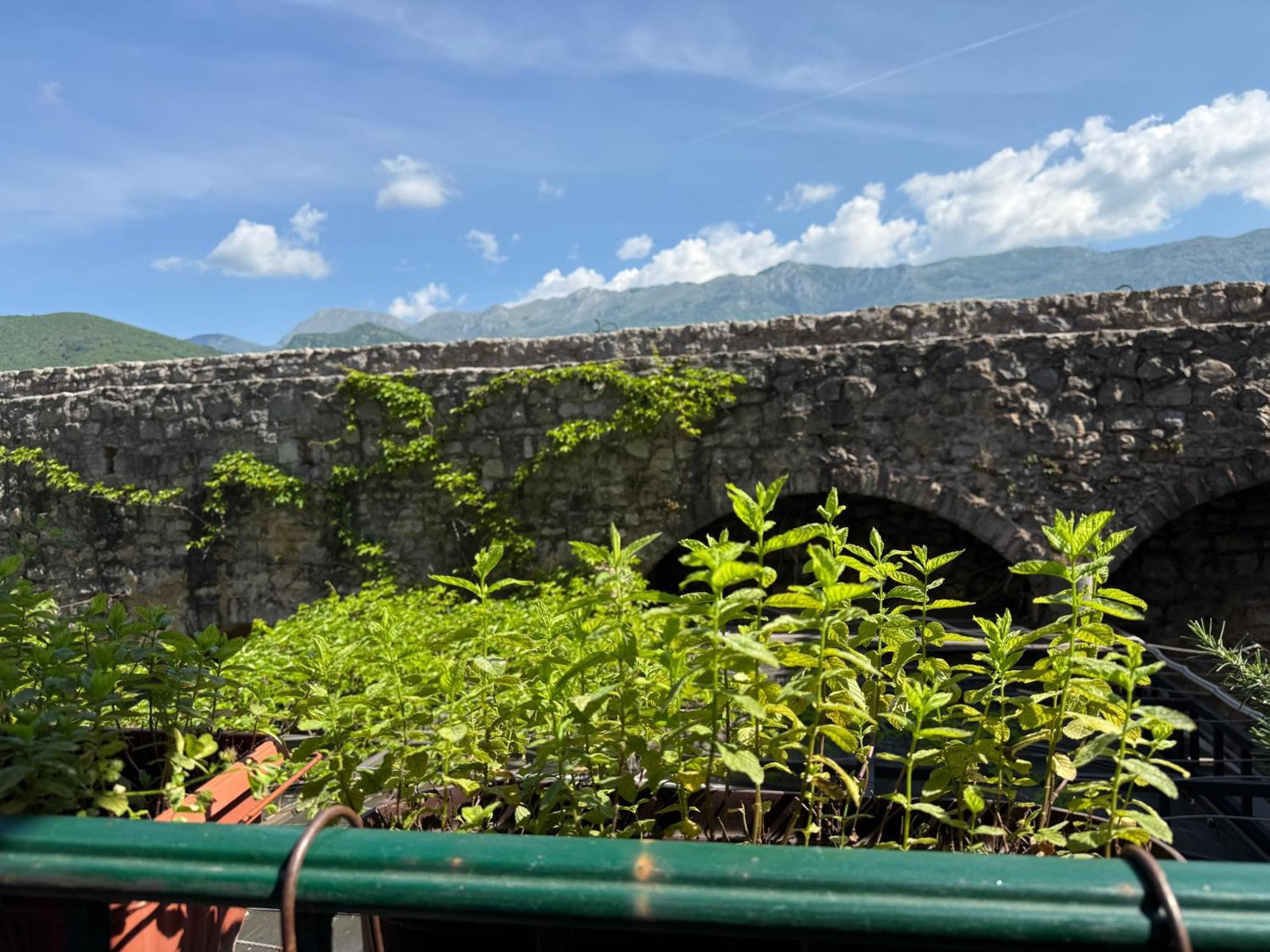Apartments Aleksic Old Town Budva Luaran gambar